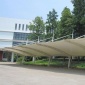 专业定制膜结构停车棚景观棚大型露天展览会展示棚遮阳棚款式繁多